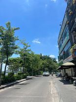4253759 ảnh đại diện 1