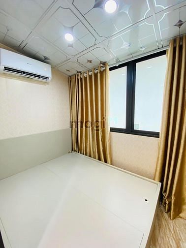 4254565 ảnh đại diện 1