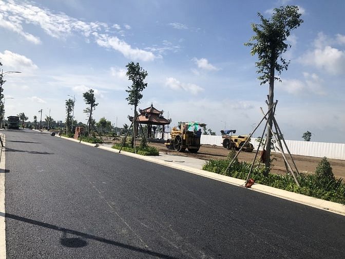 4255323 ảnh đại diện 2