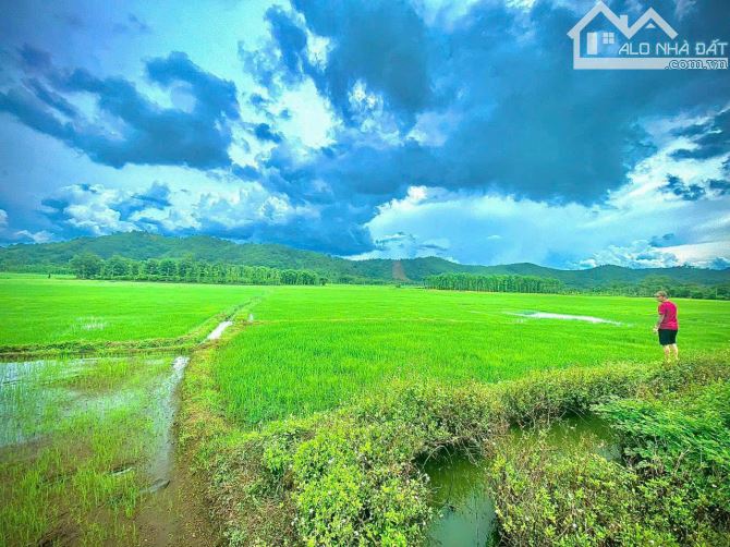 4254158 ảnh đại diện 2