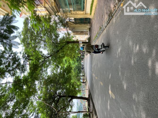 4252611 ảnh đại diện 1