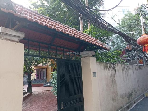 4253759 ảnh đại diện 1