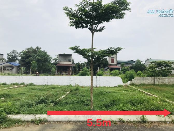 4252768 ảnh đại diện 1