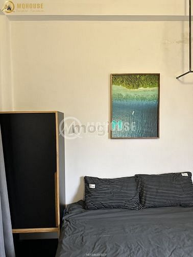 4256156 ảnh đại diện 2