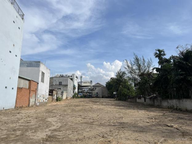 4257581 ảnh đại diện 1