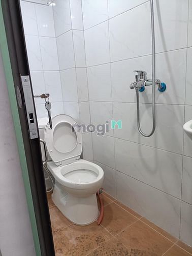 4256932 ảnh đại diện 1