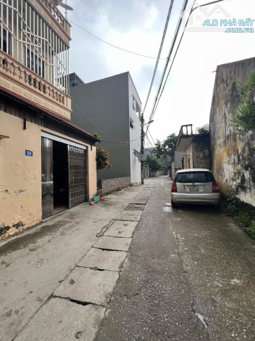 4256522 ảnh đại diện 1