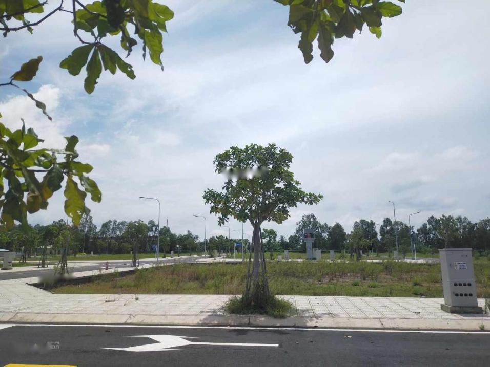 4258349 ảnh đại diện 1