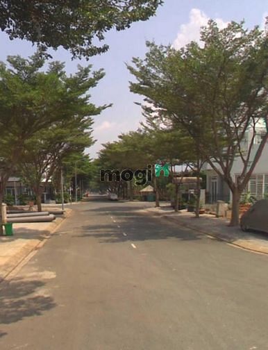 4257055 ảnh đại diện 1