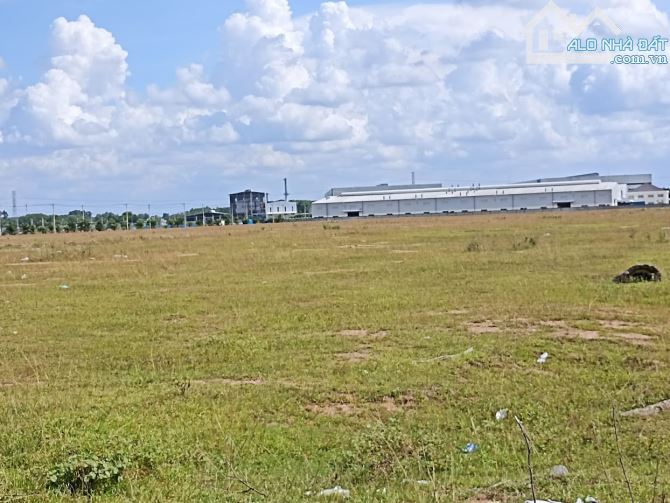 4257580 ảnh đại diện 1