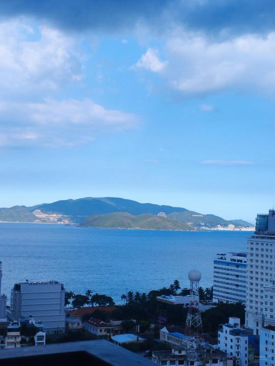 4256457 ảnh đại diện 2
