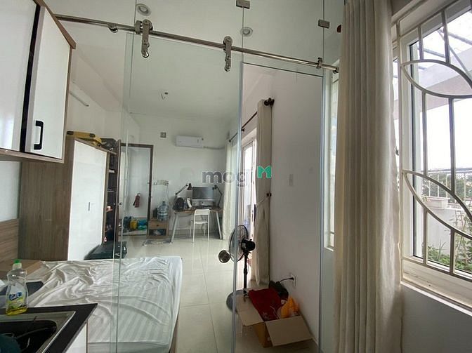 4256163 ảnh đại diện 1