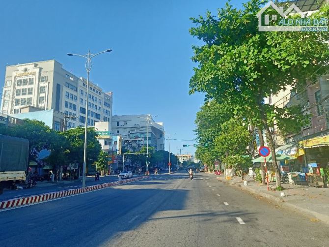 4256176 ảnh đại diện 1