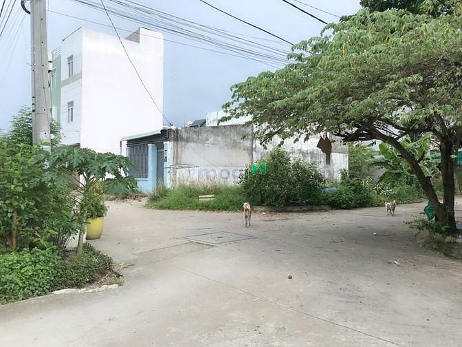 4256387 ảnh đại diện 1