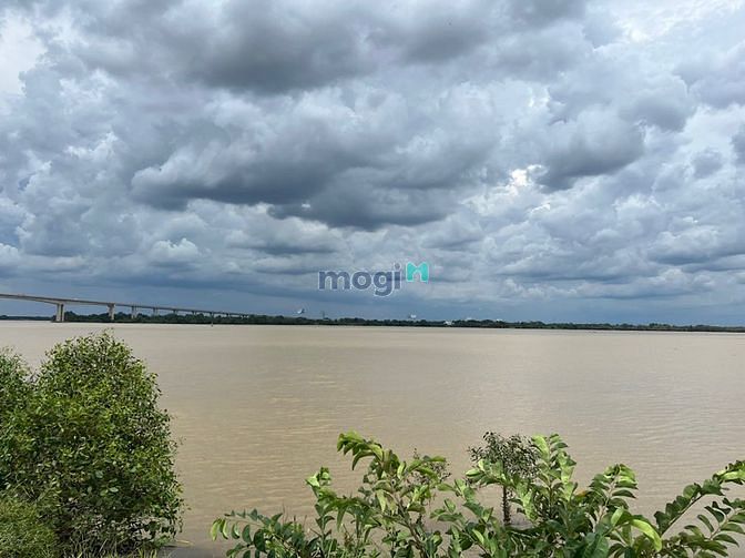4256386 ảnh đại diện 1