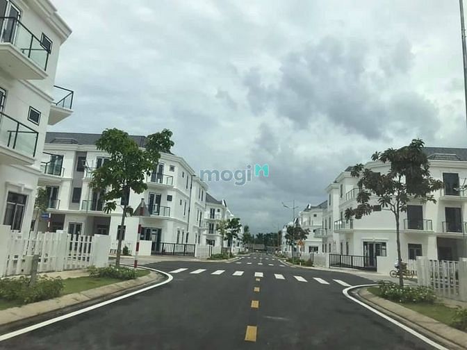 4257673 ảnh đại diện 1