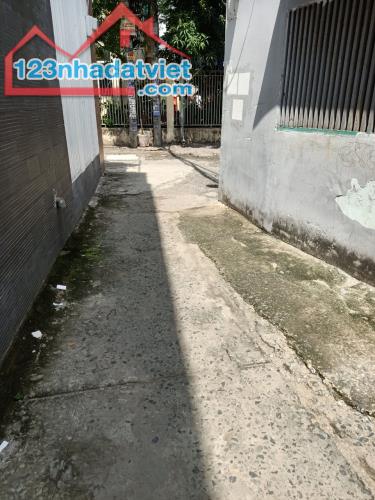 4256369 ảnh đại diện 1