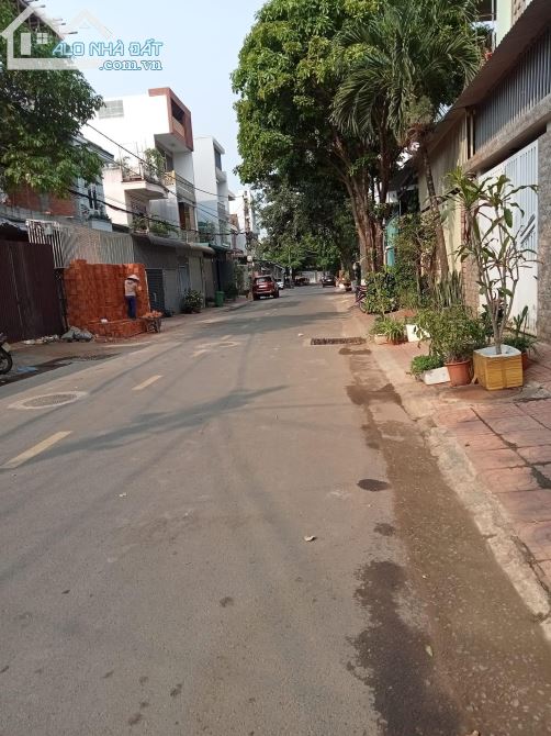 4255480 ảnh đại diện 1