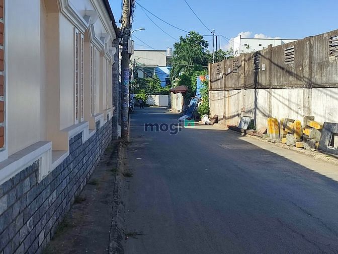 4257062 ảnh đại diện 2