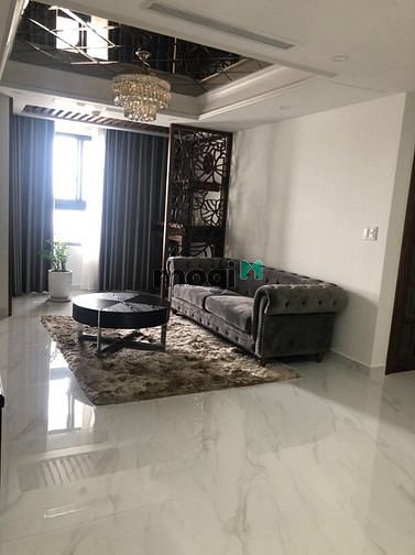 4256617 ảnh đại diện 2