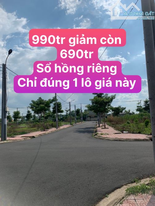 4256354 ảnh đại diện 1