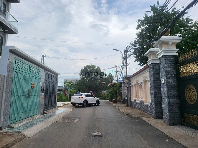 4257063 ảnh đại diện 1