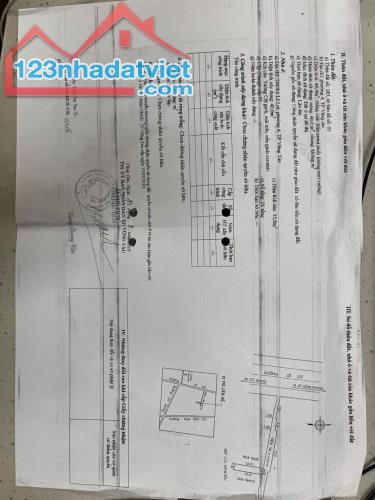 4256419 ảnh đại diện 1
