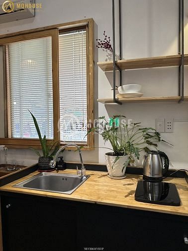 4256164 ảnh đại diện 1