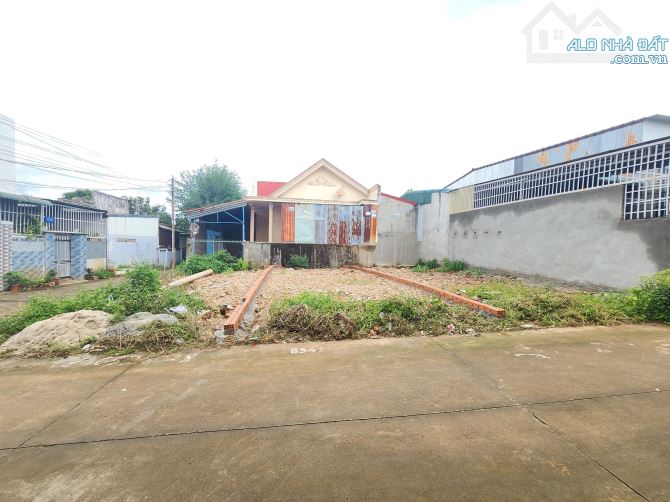 4257852 ảnh đại diện 2