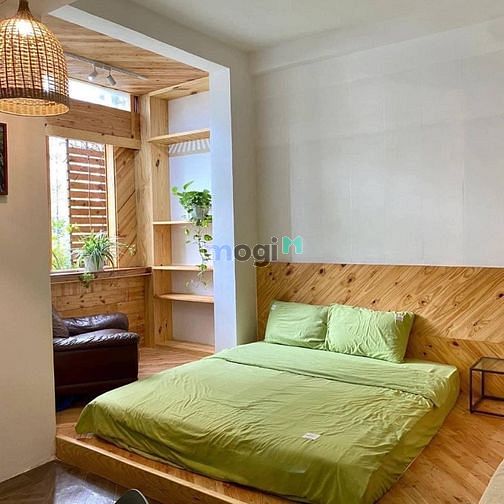 4256161 ảnh đại diện 1