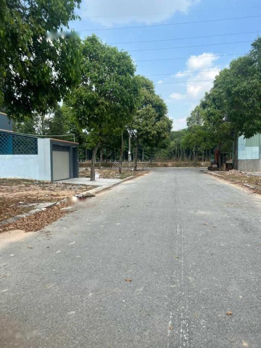 4258352 ảnh đại diện 1