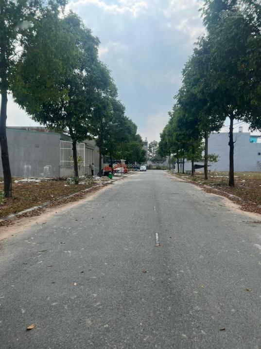 4258352 ảnh đại diện 1