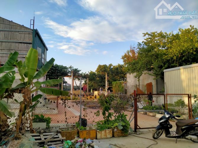 4256513 ảnh đại diện 2