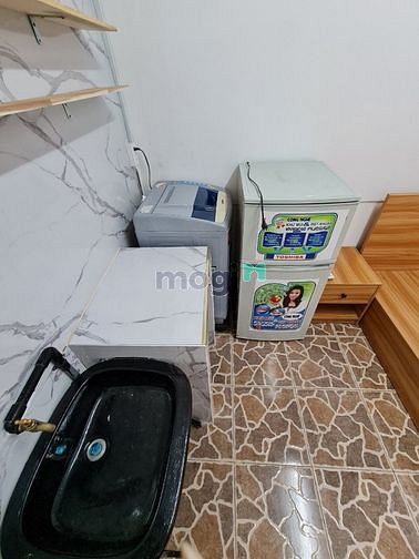 4257646 ảnh đại diện 1