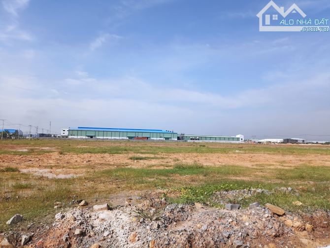 4257580 ảnh đại diện 1
