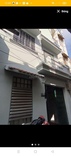 4256369 ảnh đại diện 1