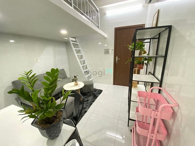 4256169 ảnh đại diện 1