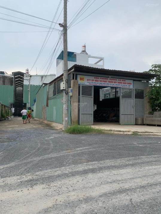 4257931 ảnh đại diện 1