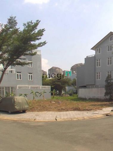 4257055 ảnh đại diện 1