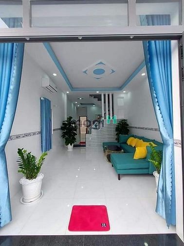 4256566 ảnh đại diện 1