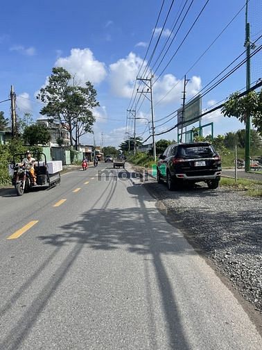4256387 ảnh đại diện 1