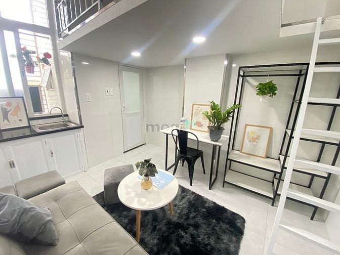 4256169 ảnh đại diện 2