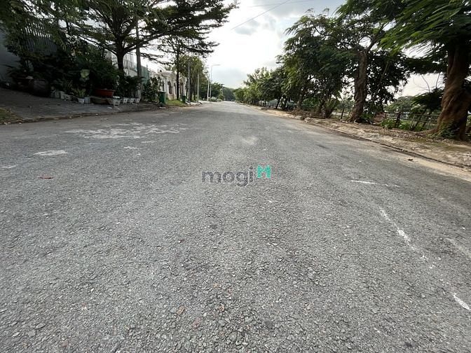 4256274 ảnh đại diện 1
