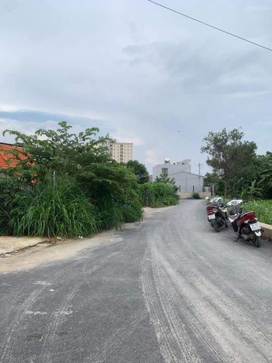 4257931 ảnh đại diện 1