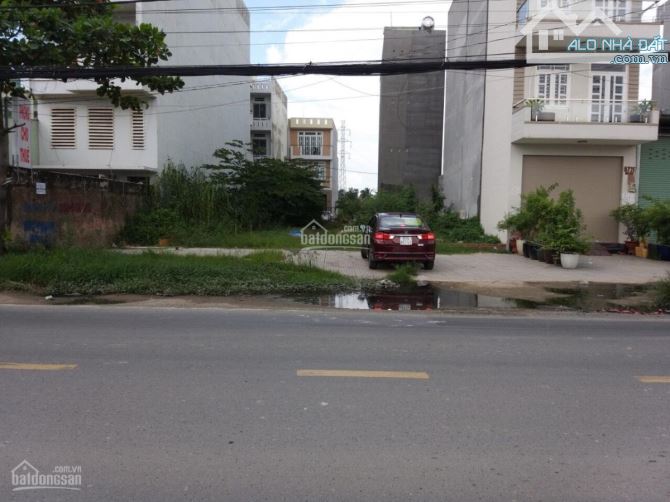 4259490 ảnh đại diện 1
