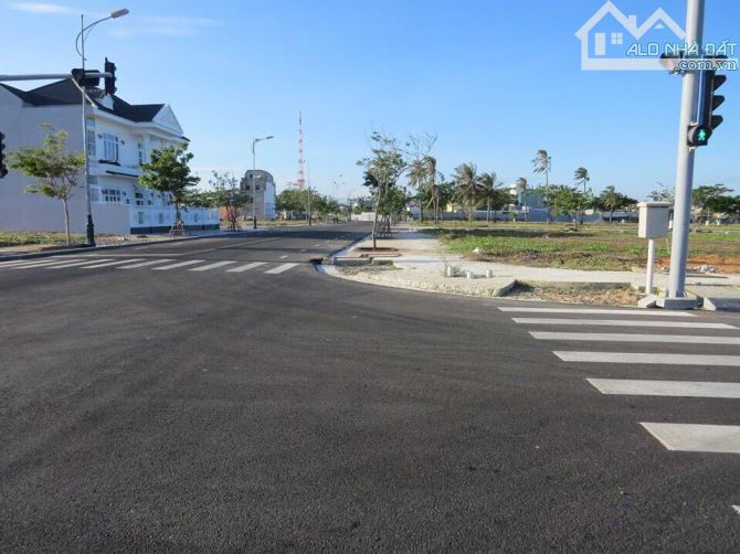 4259502 ảnh đại diện 1