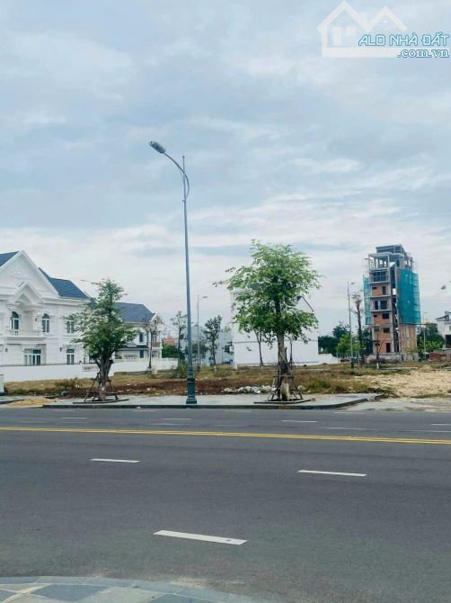 4259497 ảnh đại diện 2