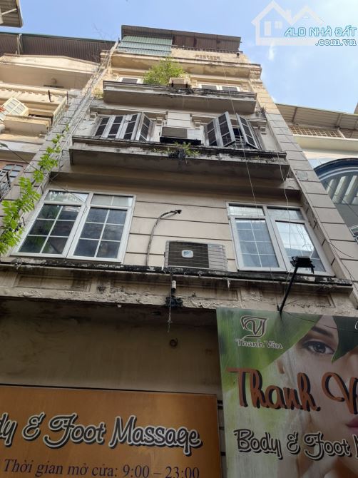4259021 ảnh đại diện 1
