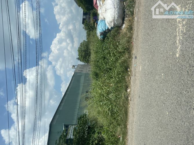 4259493 ảnh đại diện 1