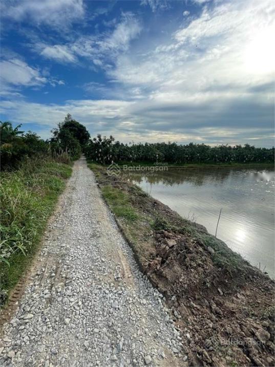 4260967 ảnh đại diện 1